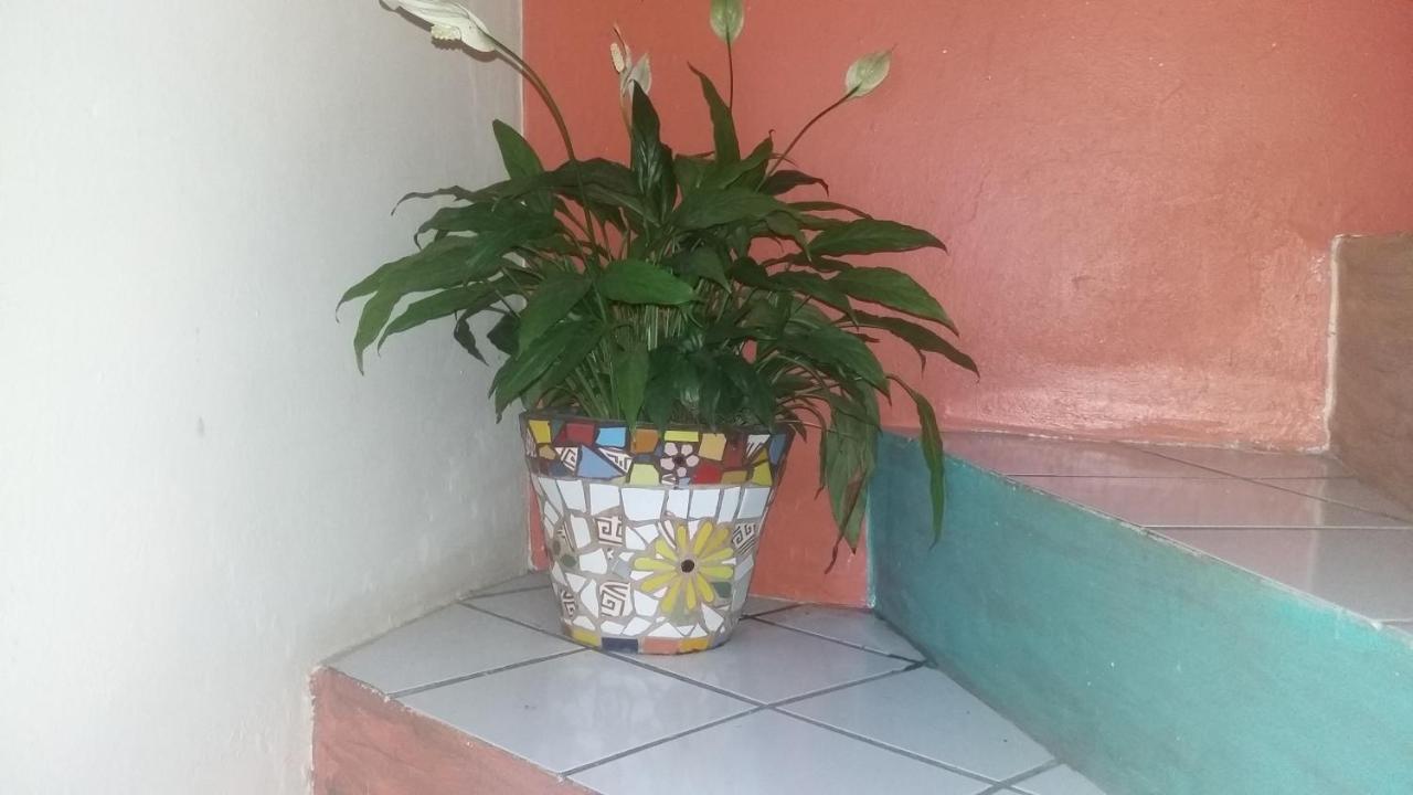 Casa Hostel Mosaicos Dya Florianópolis 외부 사진
